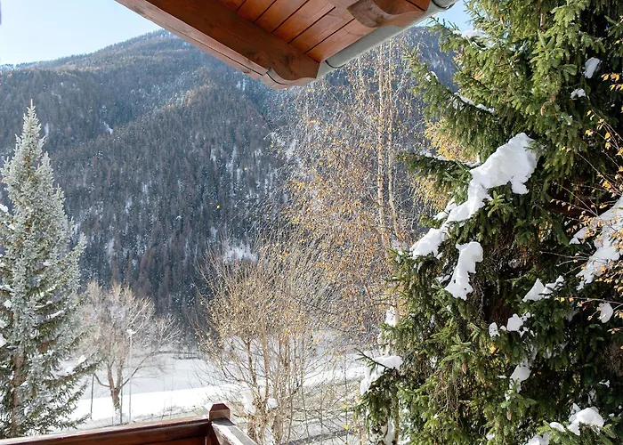 My Dream St Oyen - Deluxe